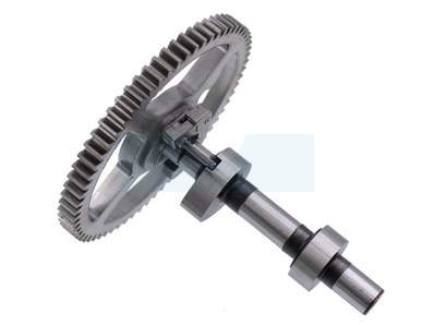 Vhbw 5x Filtres à Essence Compatible Avec Briggs & Stratton 214700 0114 214900 0272 Moteur De Tondeuses Gazon Sans Pompe Essence 38166925