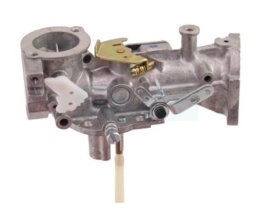 Carburateur pour moteur Briggs & Stratton (495459)