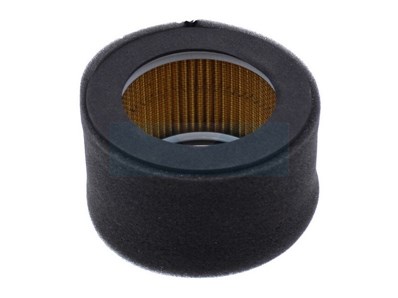 Filtre à air pour moteur Kubota (1390711210)