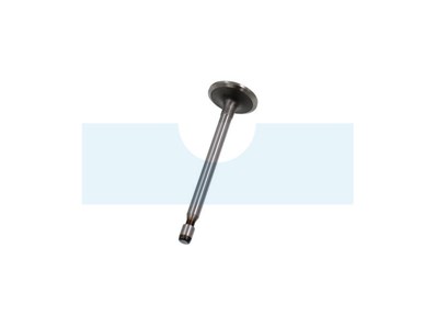 Soupape d’admission pour moteur Briggs & Stratton (691804)