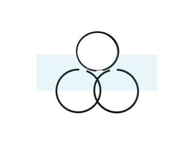 Kit segment pour moteur Briggs & Stratton (499425)