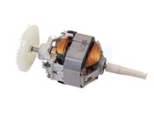 Moteur électrique 220/230W pour Stihl (64406000231)