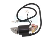 Bobine d'allumage pour moteur Honda (30500887303)