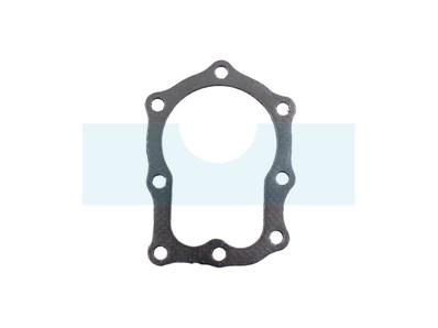 Joint de culasse pour moteur Briggs & Stratton (270836)