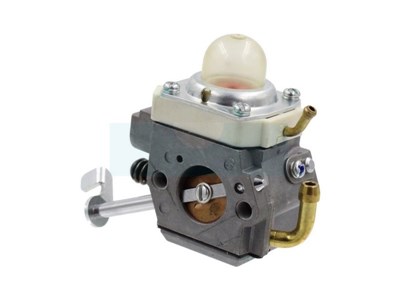 Carburateur pour moteur Honda (16100ZDJ813)
