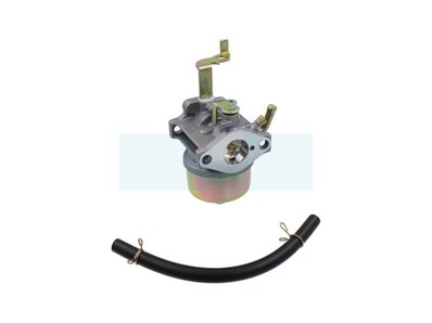 Carburateur pour moteur Robin (2276245010)