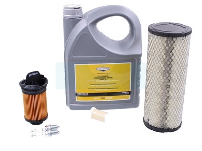 Kit d'entretien pour moteur Briggs & Stratton (992245)