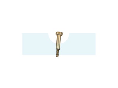 Vis épaulée de carburateur pour moteur Briggs & Stratton (691630)