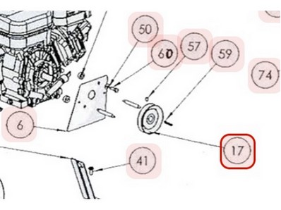 Poulie moteur pour scarificateur Roques & Lecoeur (0002020007)