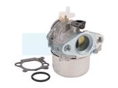 Carburateur pour Briggs & Stratton (799869)