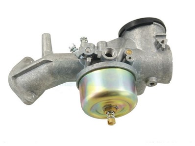 Carburateur pour moteur Briggs & Stratton (491031)