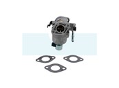 Carburateur pour moteur Briggs & Stratton (699807)
