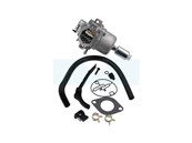 Carburateur pour moteur Briggs & Stratton (799727)