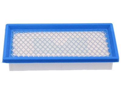 Filtre à air pour moteur Briggs & Stratton (494511)