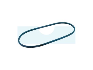 Courroie motoculture trapézoïdale 15.8mm x 1372mm ext. (5L54)