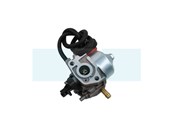 Carburateur pour moteur MTD (75110736)