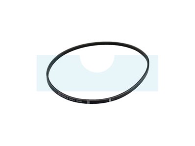 Courroie pour tondeuse Wolf (50633)