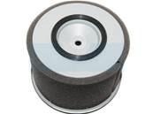 Filtre à air pour moteur Kubota (1389211080)