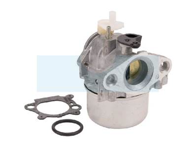 Carburateur pour Briggs & Stratton (799869)