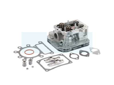 Culasse pour moteur Briggs & Stratton (796183)