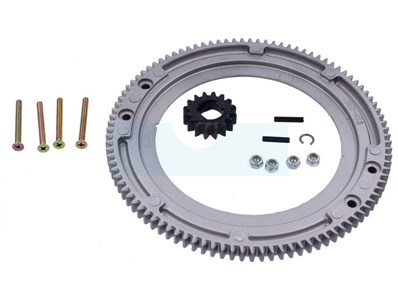 Couronne de démarreur pour moteur Briggs & Stratton (399676)