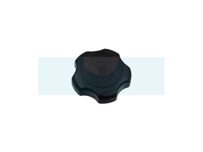 Bouchon d'essence pour moteur Briggs & Stratton (846987)