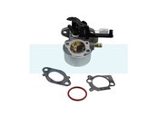 Carburateur pour moteur Briggs & Stratton (591137)
