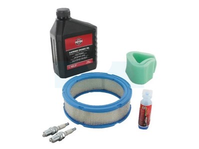 Kit entretien pour moteur Briggs & Stratton (992240)
