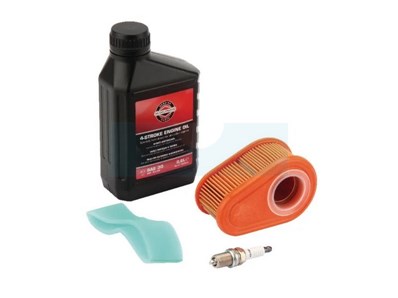 Kit entretien pour moteur Briggs & Stratton (992234)
