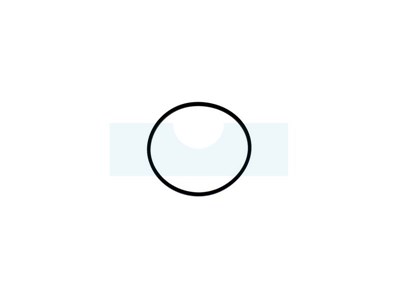 Joint de cuve pour moteur Briggs & Stratton (698538)