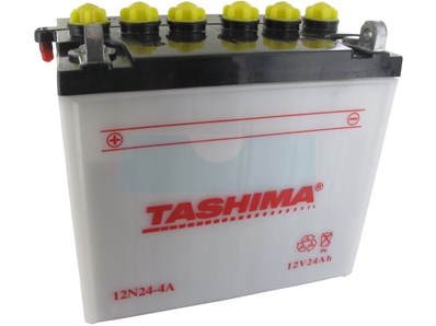 Batterie plomb Tashima 12V, 24Ah (12N244A)