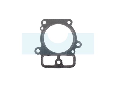 Joint de culasse pour moteur Briggs & Stratton (693997)