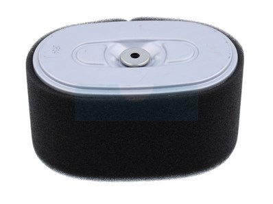 Filtre à air pour moteur Honda (17210Z2E000)