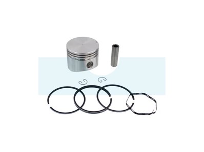 Piston pour moteur Briggs & Stratton (391673)