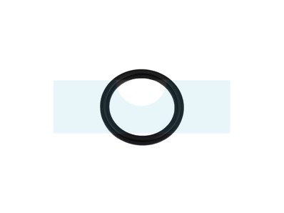 Joint de raccord pour pulvérisateur Echo (35701412711)