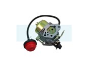 Carburateur pour moteur MTD (75111193)