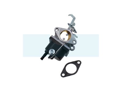 Carburateur pour moteur Tecumseh (640221)