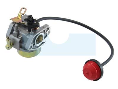 Carburateur pour moteur MTD (75111193)