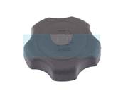 Bouchon d'essence pour moteur Briggs & Stratton (493988)