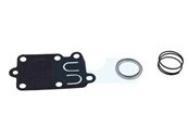 Membrane + ressort pour Briggs & Stratton (691823)