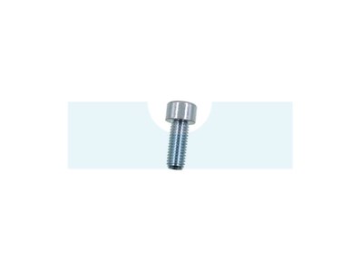 Vis à tête cylindrique à six pans creux (BTR, Allen) M10 x 1,5mm