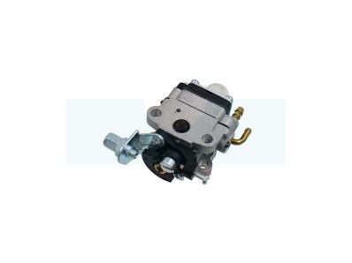 Carburateur pour moteur Honda (16100ZM5809)