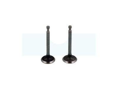 Kit soupapes pour moteur Loncin (500550024)