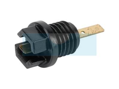 Bouchon d'huile pour moteur Briggs & Stratton (699947)