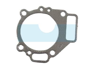 Joint de culasse pour moteur Briggs & Stratton (272126)