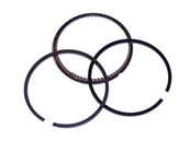 Kit segment pour moteur Briggs & Stratton (498680)