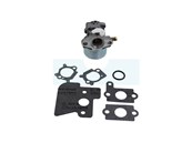 Carburateur pour moteur Briggs & Stratton (790120)