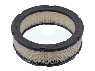 Filtre &#224; air pour moteur Briggs &amp; Stratton (841359)