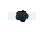 Bouchon d'essence pour moteur Briggs & Stratton (846987)