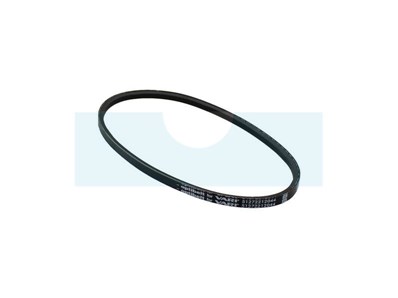 Courroie pour tondeuse débroussailleuse As Motor (G07352016)